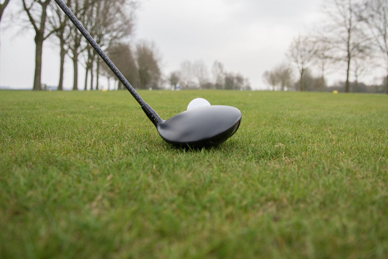 Biyobozunur golf topları ucuz